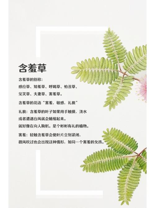 八戒影院在线4观看最新高清热门大片 - 免费追剧平台推荐