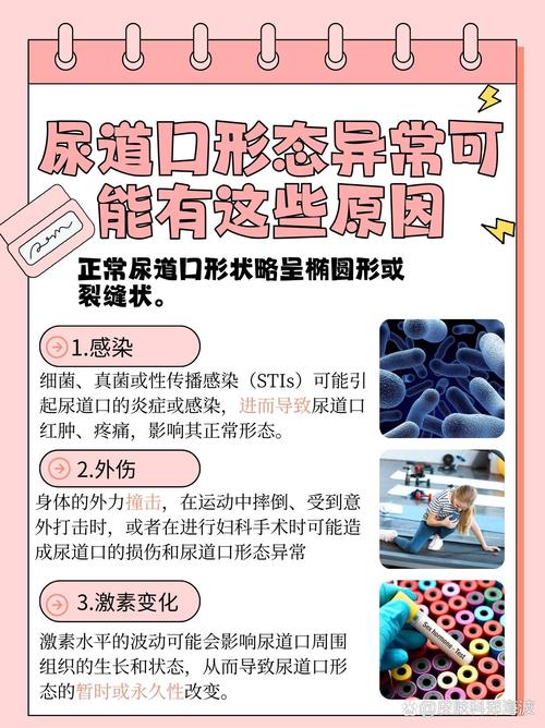 神马电影院dy888午夜的相关介绍