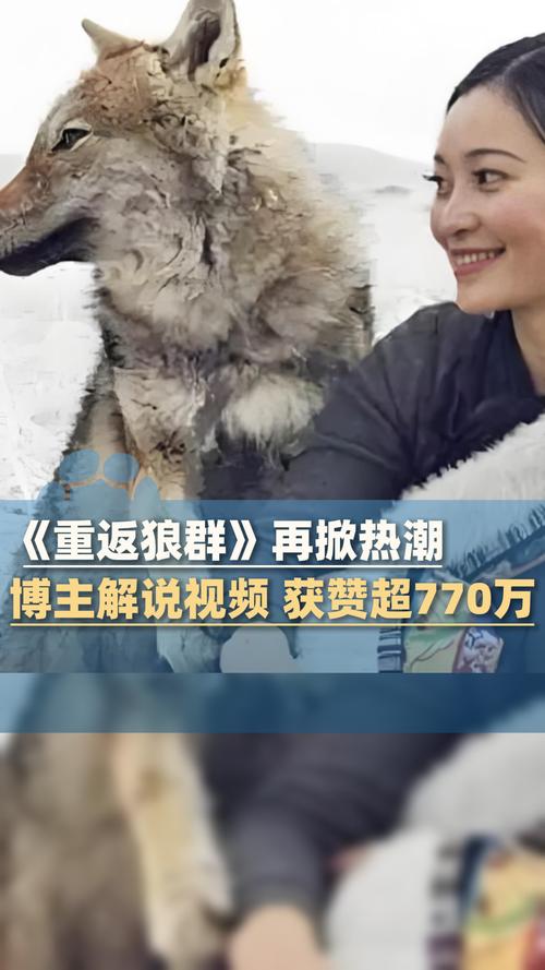 浮力影院5在线观看免费版 - 2025最新影视剧集平台与高清资源推荐