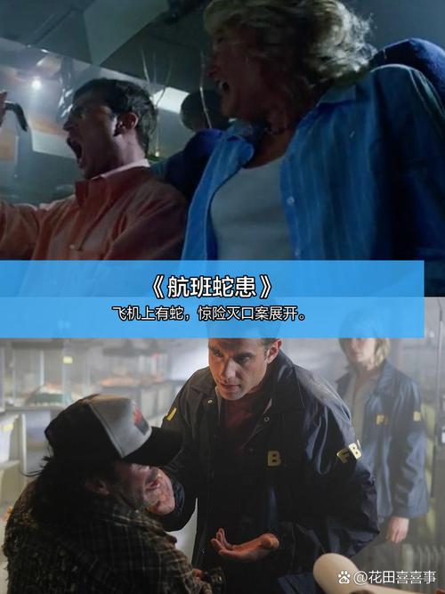 宅男专属神器！**宅男神奇影院**私藏片单推荐，解锁**宅家观影新姿势**与**小众高分冷门电影**