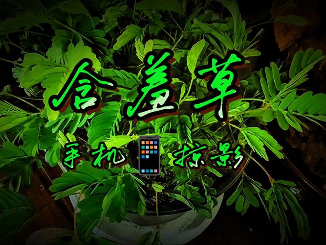 艾玛影院官网 - 最新电影在线观看 | 高清无广告 | 热门影视推荐