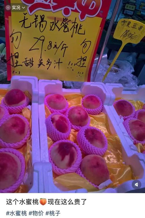 欧美高清怀旧图片素材库 | 复古美图收藏 | 经典欧美影像合集