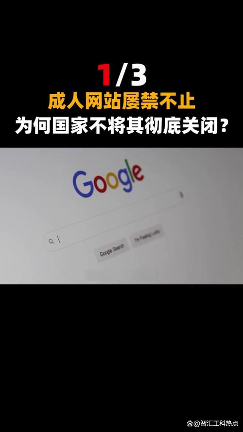 夜夜看片在线影院的相关介绍