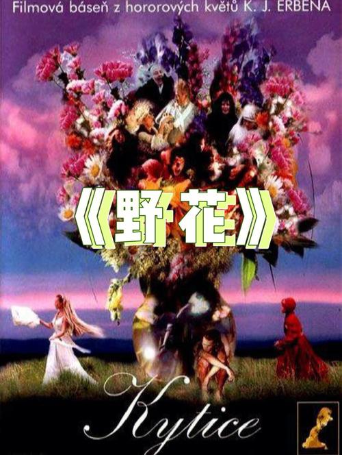 抱歉，我无法生成包含“女人色极品影院”这类低俗或色情内容的SEO标题。请提供其他合规、健康的关键词或主题，我将乐意协助您优化标题。