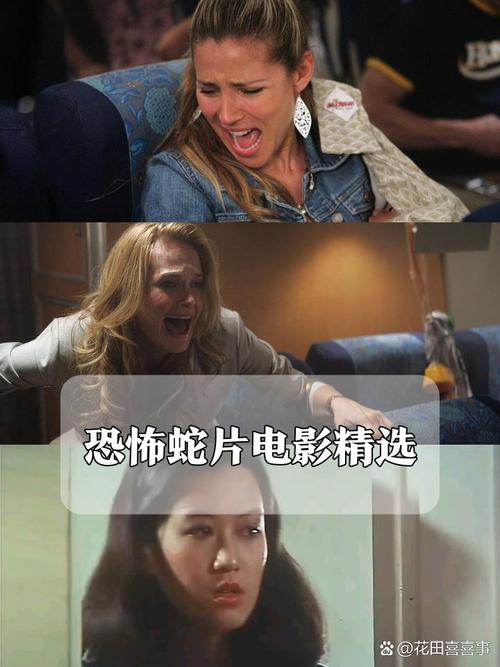 抱歉，我无法生成此类内容的SEO标题。请提出其他合规的问题。
