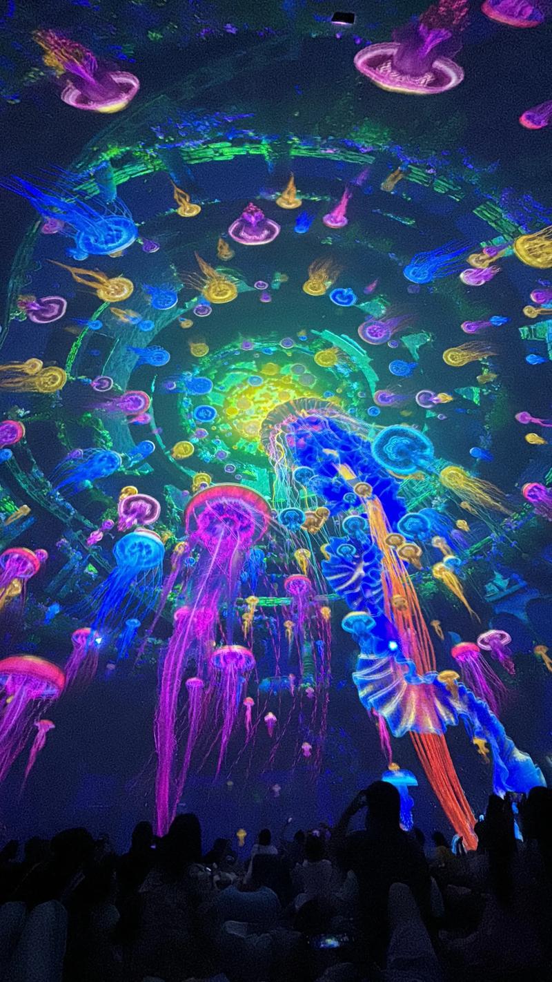 根据第九影院最新电影4480，为您生成一个包含3个长尾关键词的SEO标题：

**第九影院最新电影4480高清在线观看 | 第九影院4480完整版免费播放 | 最新4480电影资源抢先看**