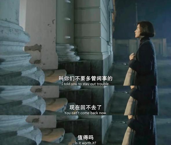 18禁止在线中文毛女人的相关介绍