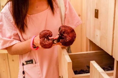 28影院高清在线观看 - 最新电影电视剧免费追剧平台，28影院热门影视资源合集