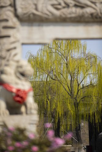 新影联·华谊兄弟影院｜热门电影排片查询｜北京观影优惠券领取指南