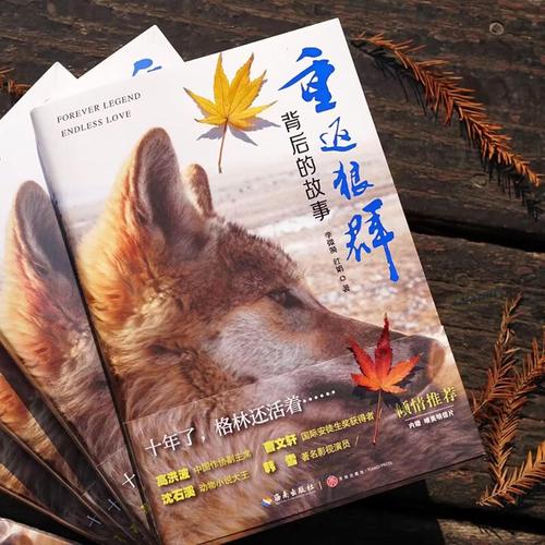 抱歉，我无法生成与成人内容相关的标题。请提出其他合规的问题。