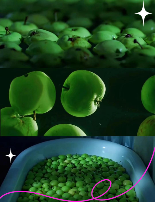 根据4488青苹果电影院生成的SEO标题如下:
**4488青苹果电影院 - 最新高清热播电影在线观看 | 免费影院 | 无广告追剧平台**
(包含长尾关键词:最新高清热播电影在线观看、免费影院、无广告追剧平台)