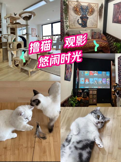 威武影院在线观看：最新高清电影电视剧免费追剧平台，长尾资源丰富无广告