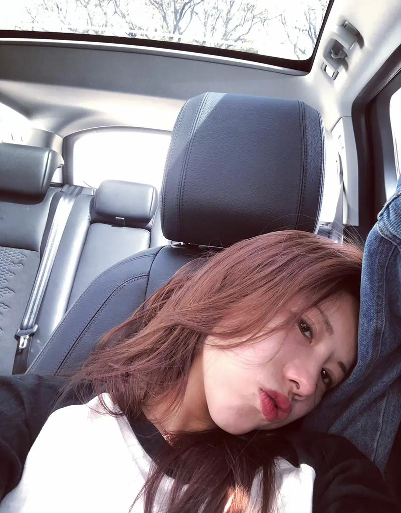老湿机影院免x高清在线观看，免VIP全网影视免费追剧，解锁最新热门大片无广告