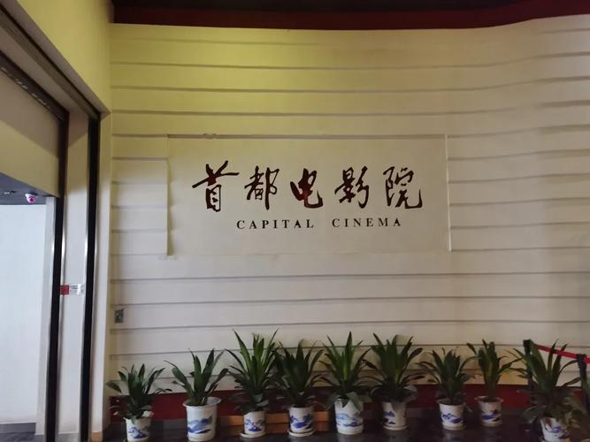 一发影院理伦大全：2025最新影片分类指南与热门推荐（在线观影技巧 / 影视解析合集 / 理论片收藏清单）