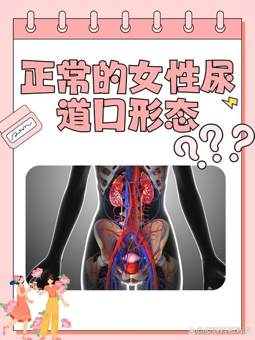 风流少妇人妻的相关介绍